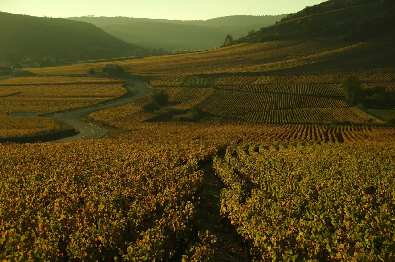 BOURGOGNE  