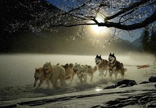 Lapland - A return to childhood