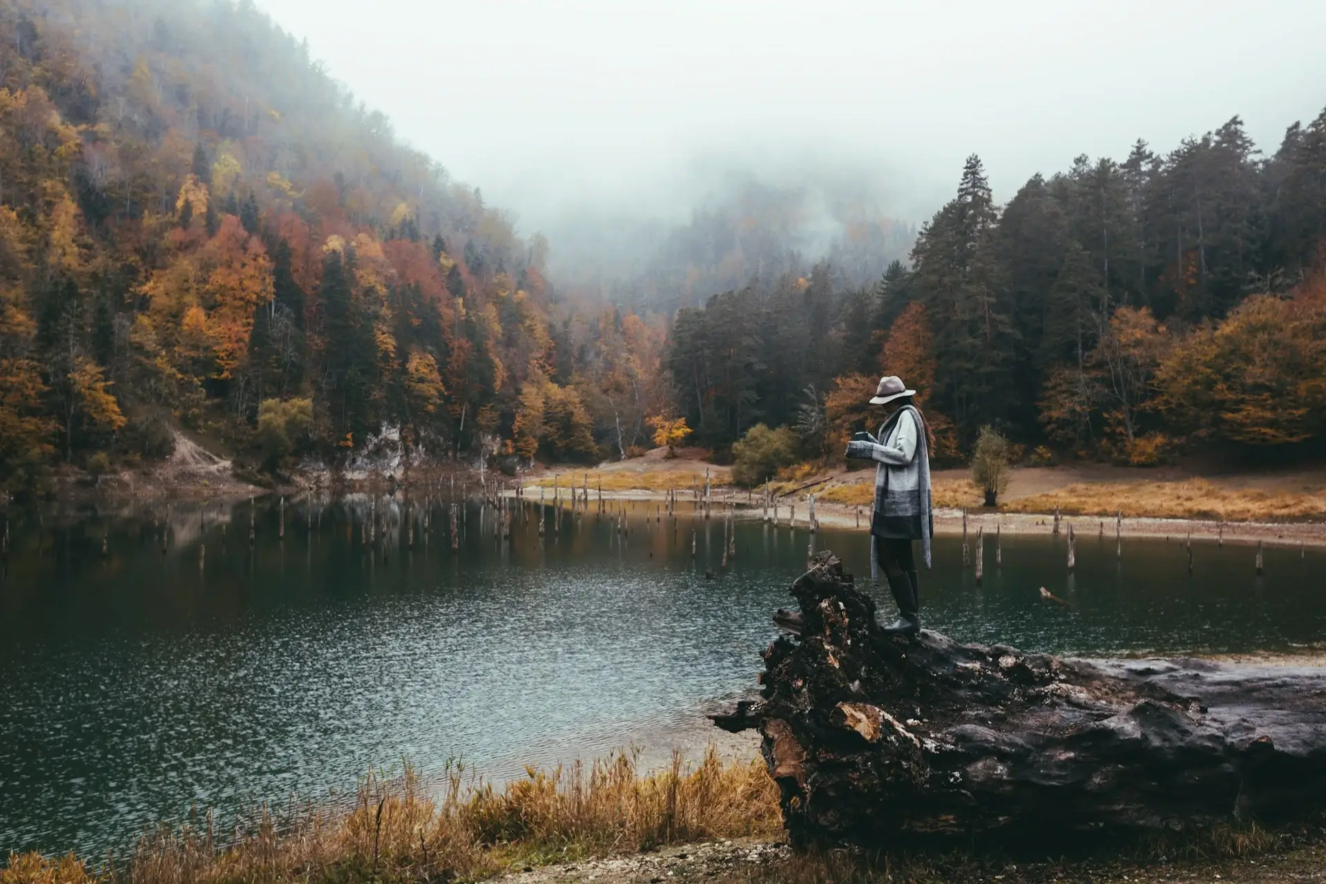 Places that find you